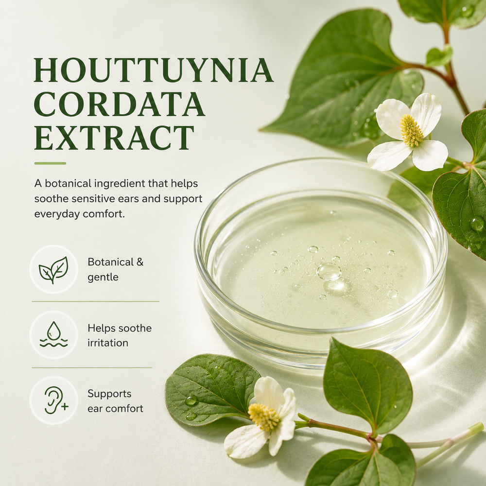 Houttuynia Cordata Extract